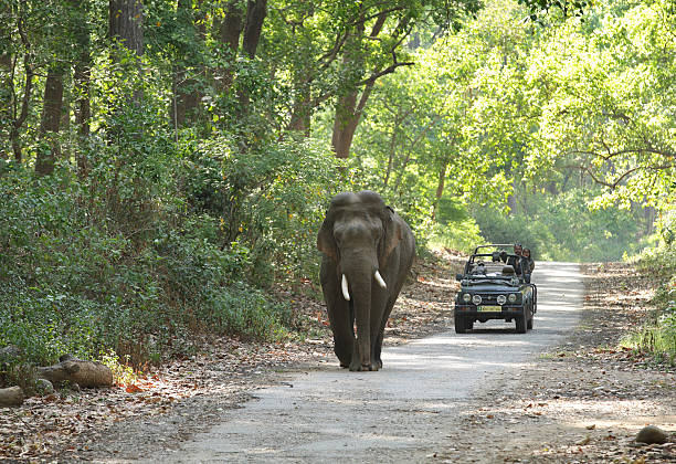 Jim Corbett