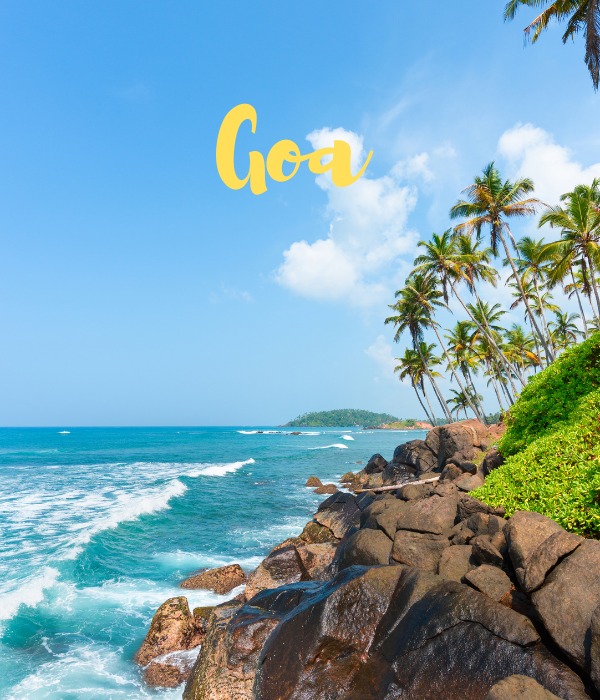 Goa Toue Packages